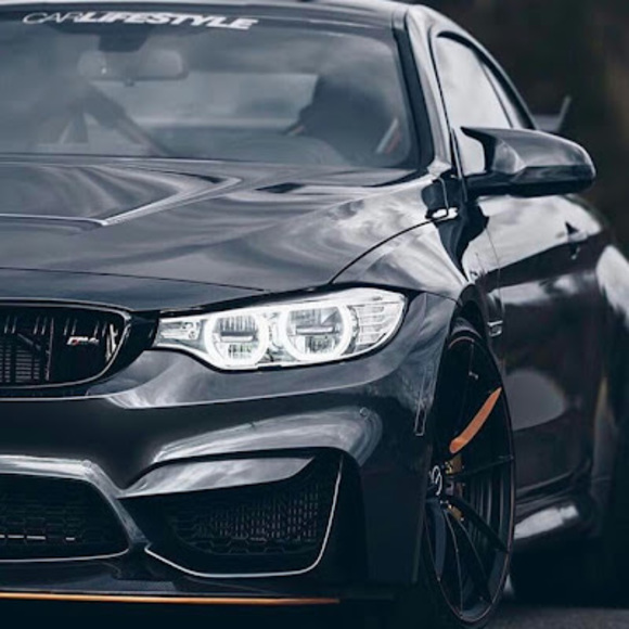 Meet your Posher, Luke - Picture 1 of 1